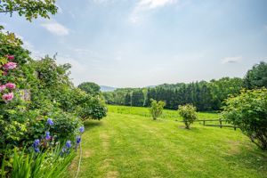 Garden- click for photo gallery